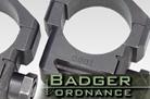 badger1.jpg