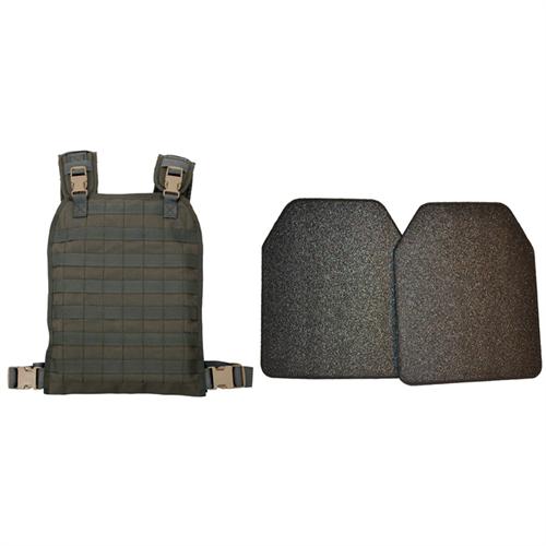 Modular Plate Carrier with Plates